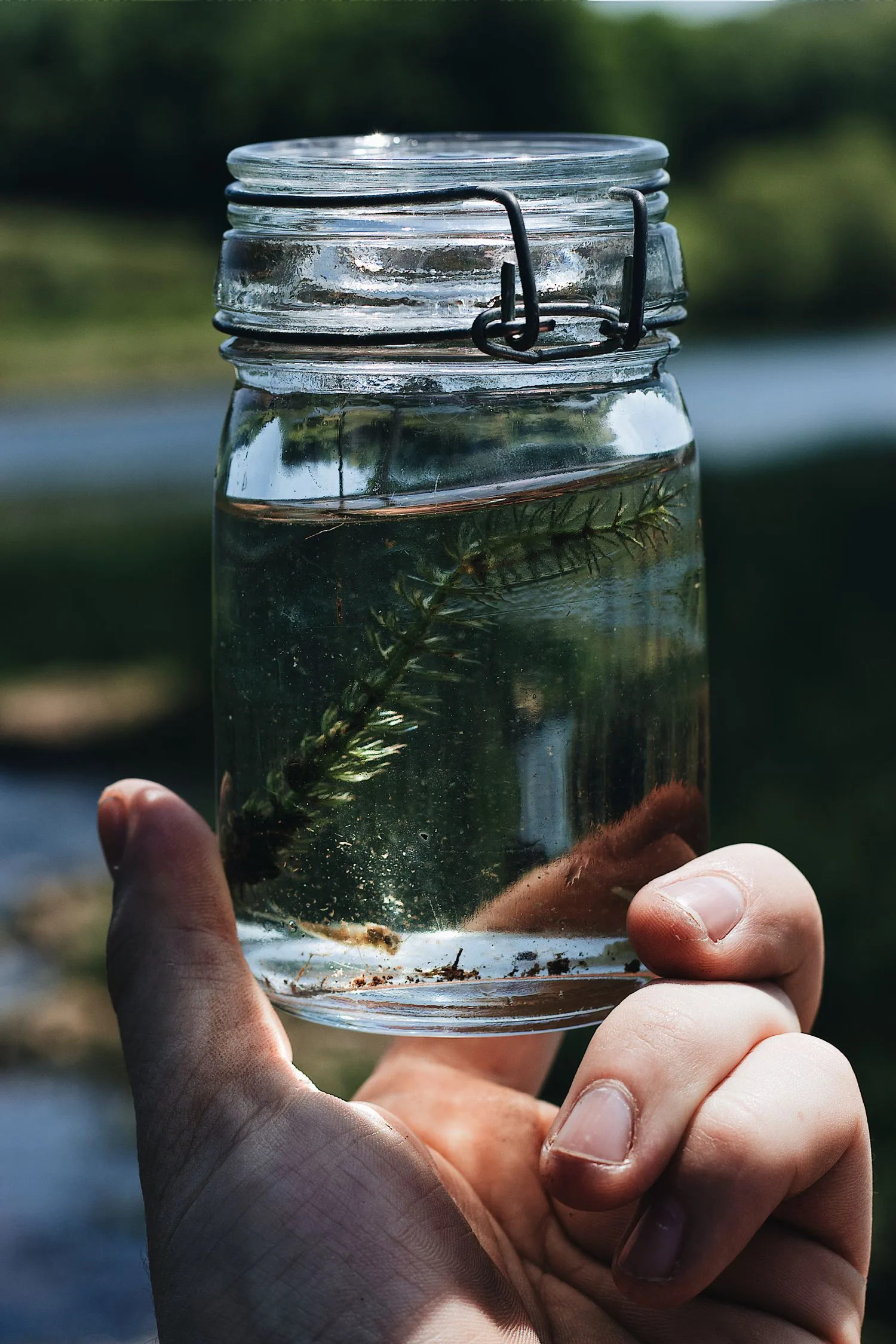 lab-eco-monitor.jpg